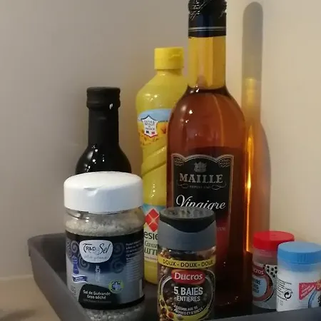 Le Coryphee : En Centre A شقة